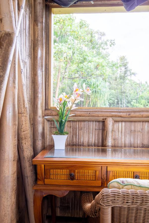 Alojamento de Turismo Selvagem Kalani Oceanside Retreat *