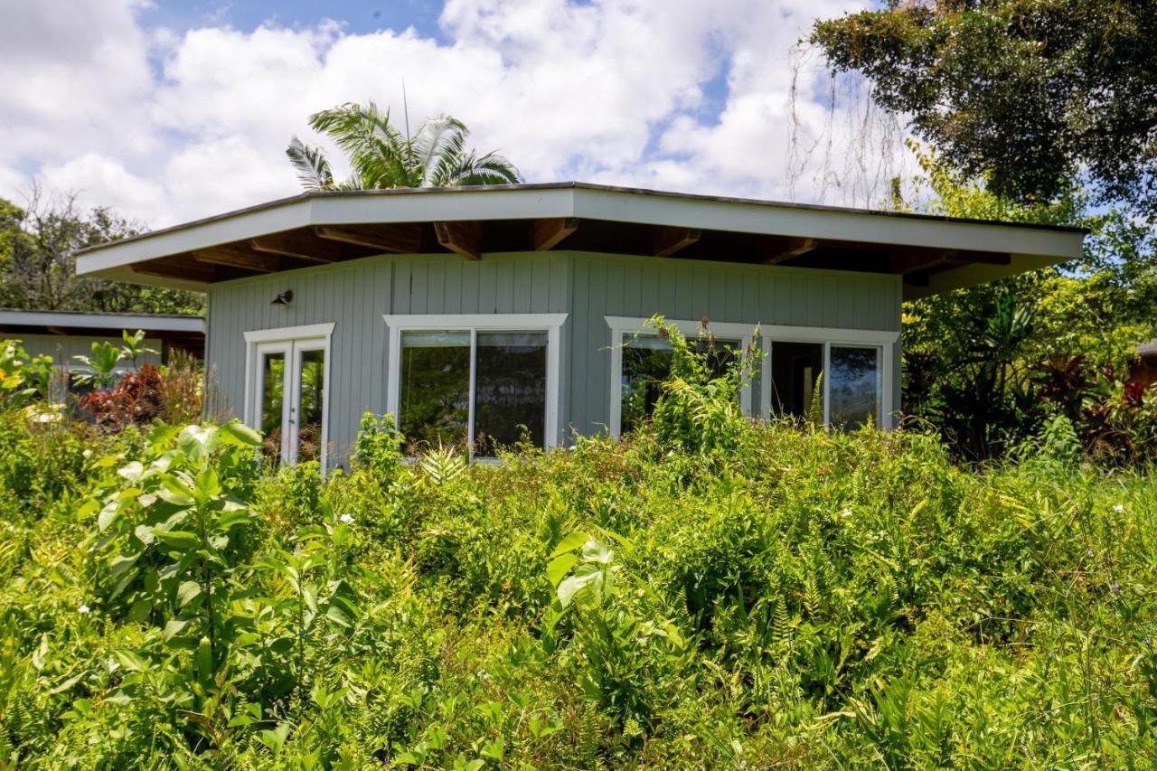 Alojamento de Turismo Selvagem Kalani Oceanside Retreat