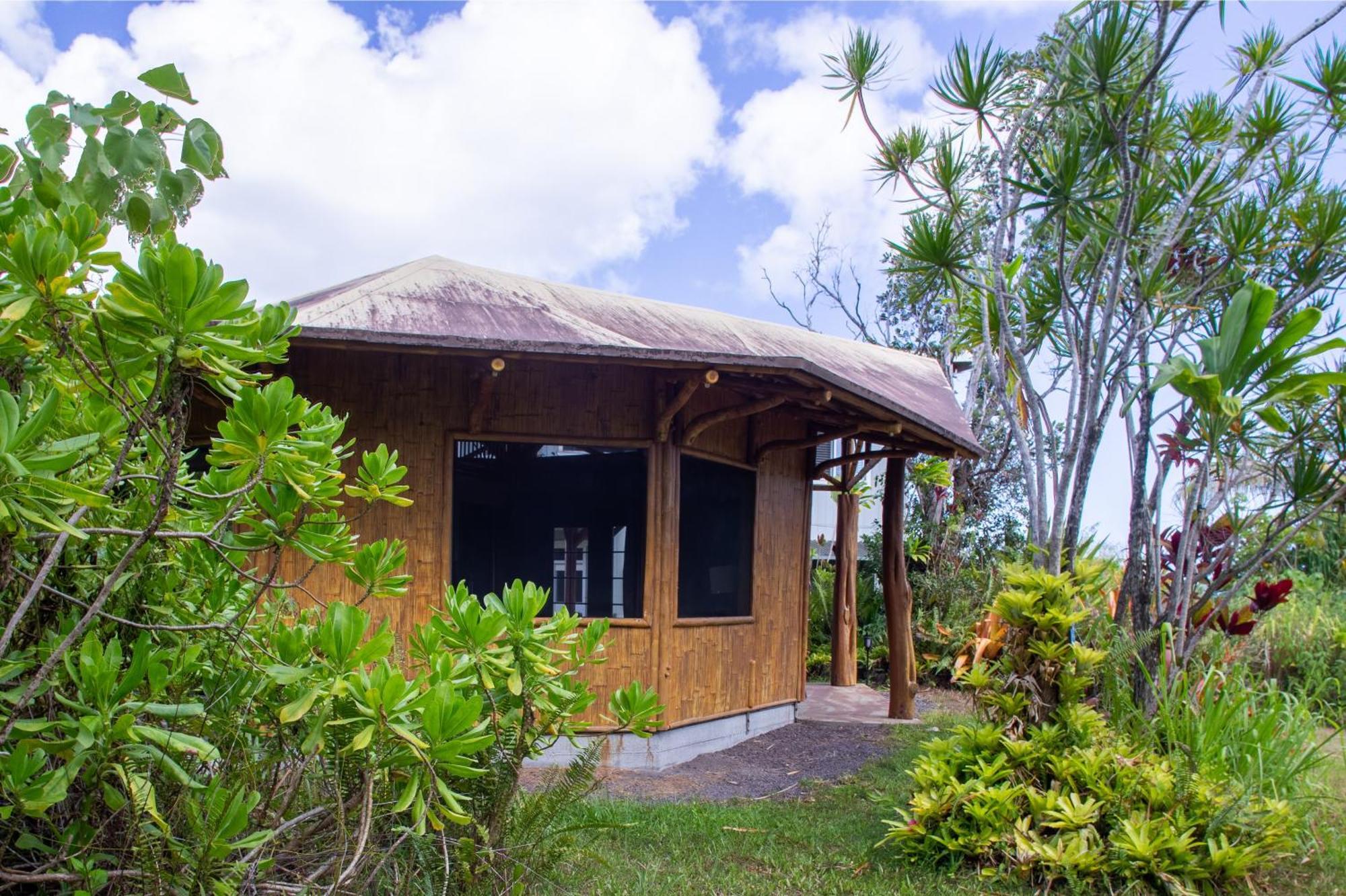 Alojamento de Turismo Selvagem Kalani Oceanside Retreat
